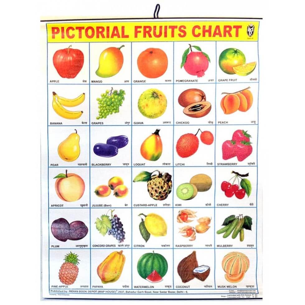 اسامی میوه ها در زبان انگلیسی 2