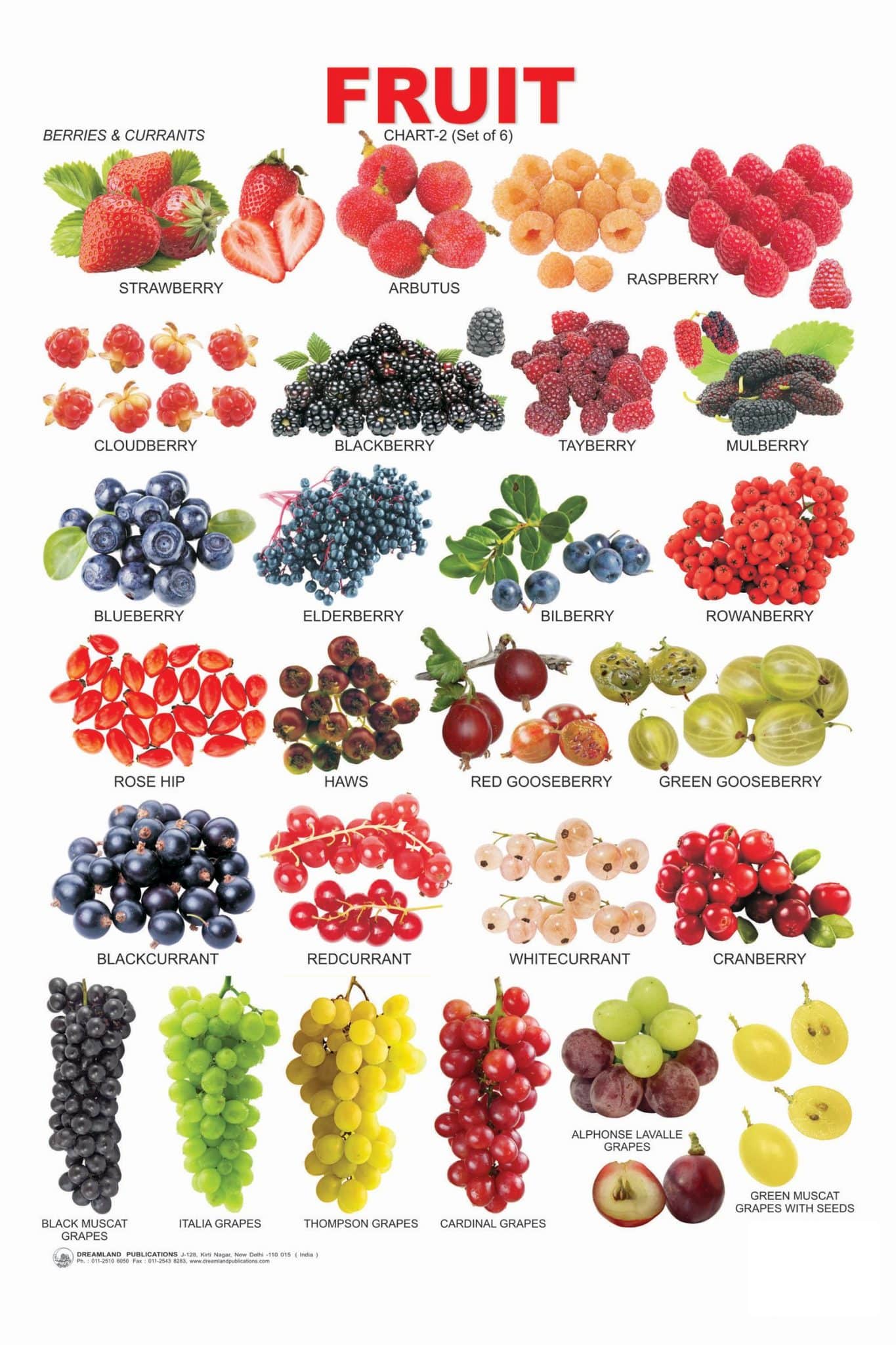 اسامی میوه ها در زبان انگلیسی 3